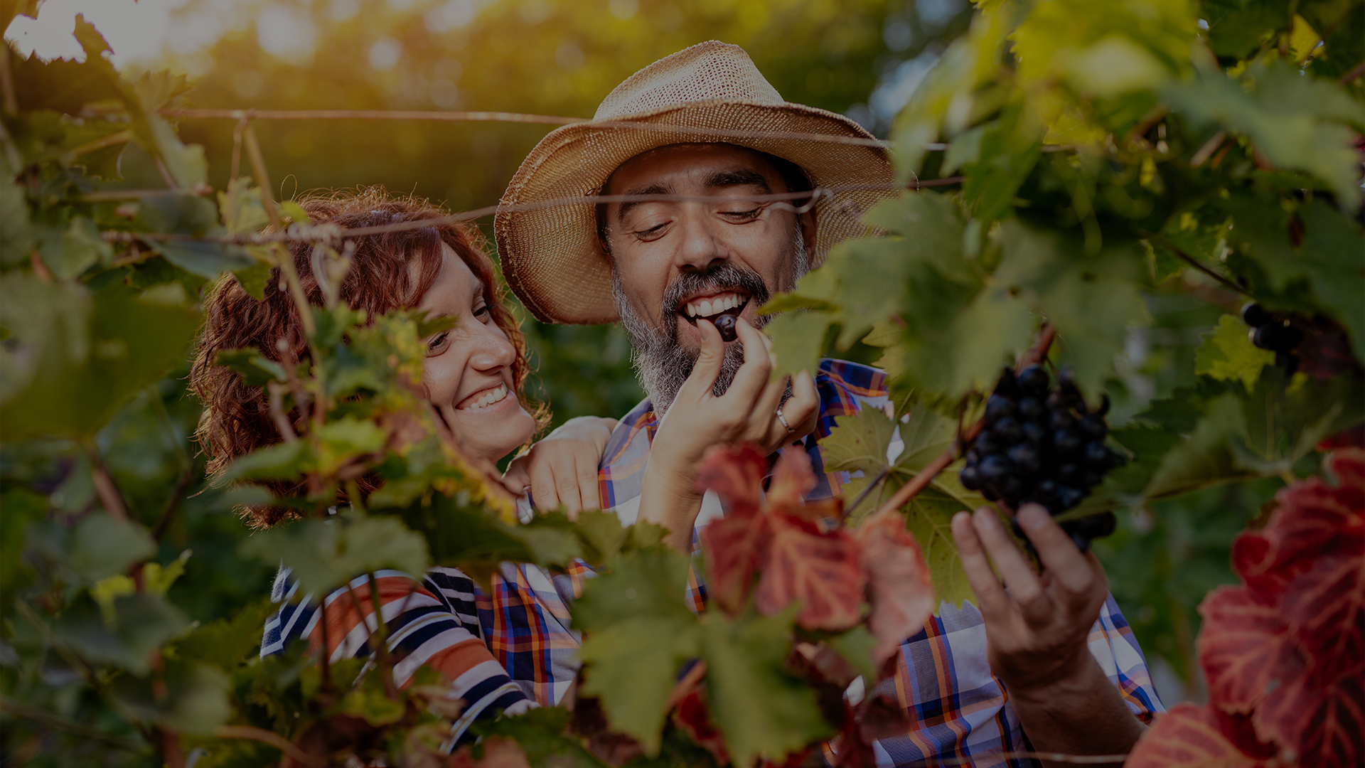 experiementar el vino en primera persona